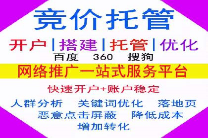 探索SEM推广代运营的奥秘：成功背后的故事
